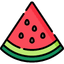 Watermelon Slices